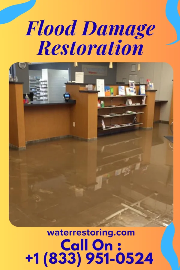 Flood Damage Restoration in Wrightsville Beach, NC